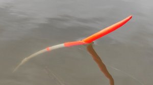 Рыбалка в мае  - караси на поплавок, сомята на донку