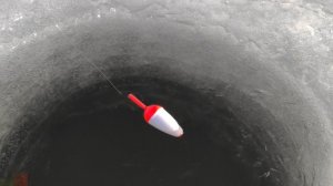 Караси ВЫКЛАДЫВАЮТ ПОПЛАВКИ - ЗИМНЯЯ РЫБАЛКА