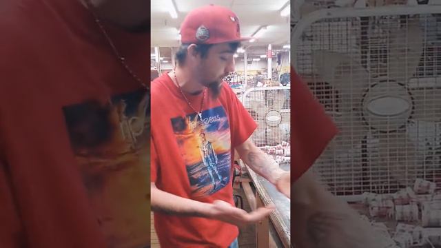 Mongo - "Musty" (Shoreline mafia remix) смотреть онлайн