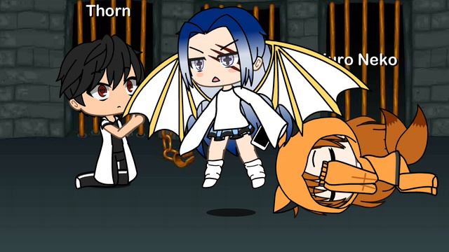 XRecorder_26092024_113417.mp4