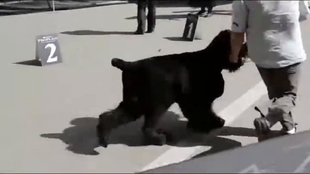 Армани Блэк Стайл смотреть онлайн