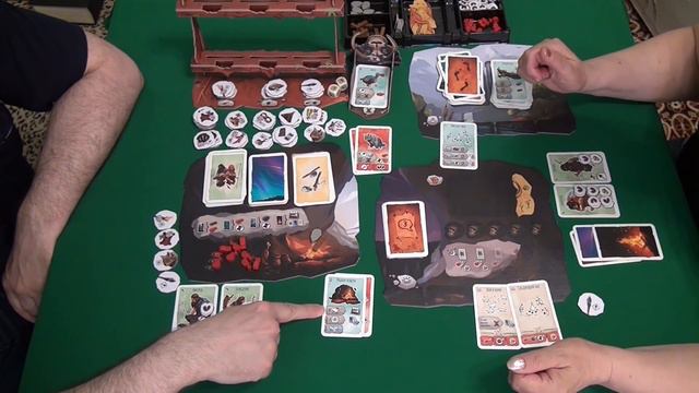 377 ПАЛЕО _ играем в настольную игру