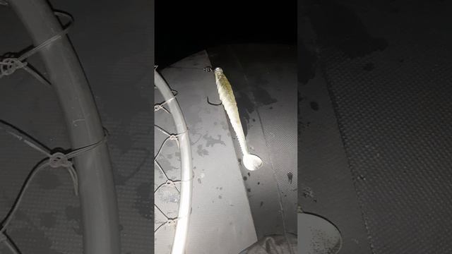 Судак на рипер Akara Armor смотреть онлайн