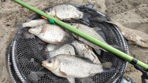 Рыбалка на ПОПЛАВОК - КАРАСЬ клюет в 3 шагах под ногами + РЫБЕЦ бонус