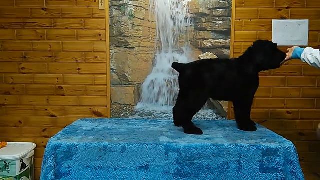 VID 20180622 134137 смотреть онлайн