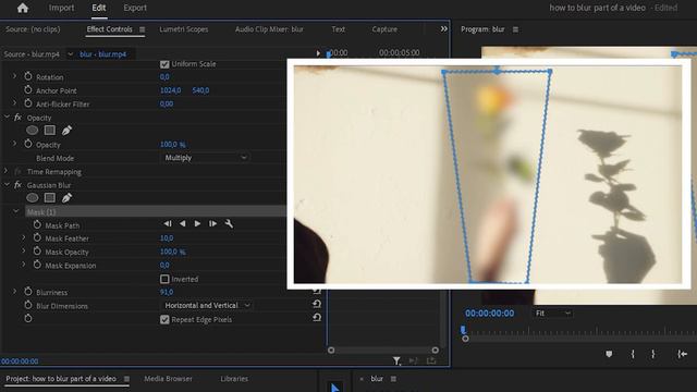 How To BLUR OBJECTS In Premiere Pro смотреть онлайн