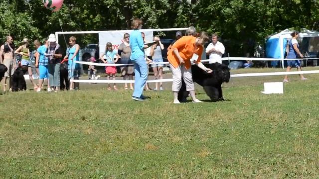 БЛЭКБЕРРИ ИЗ ЧЕРНОЙ РАТИ смотреть онлайн