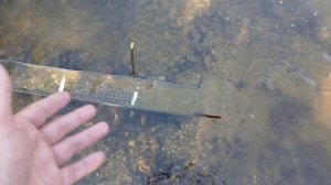 поиск золотых самородков в горной реке при помощи проходнугки