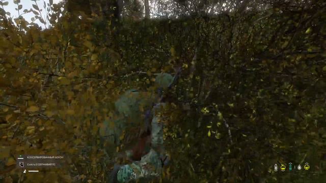 DayZ палатки под охраной смотреть онлайн