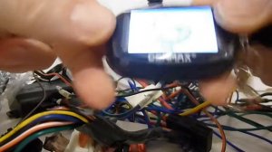 Брелок Cenmax ST 7 Leopard 9010 NEW