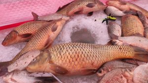 САЗАНЫ ЛУПЯТ НА МОРМЫШКУ, ЖОР КАРАСЯ!!!! Часть 2 Зимняя рыбалка как в раю