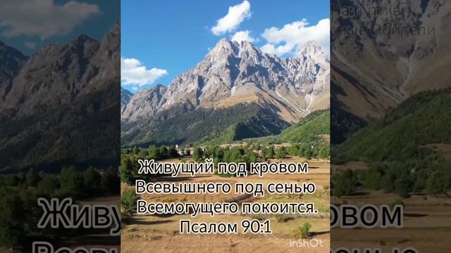Доброе утро 🌄 смотреть онлайн