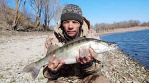 ЖОР СУДАКА НА РАССВЕТЕ - ФАНТАСТИЧЕСКАЯ РЫБАЛКА НА СПИННИНГ, ловля судака на джиг