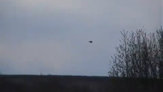 Весна 2007 смотреть онлайн