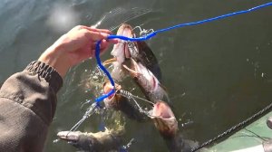 РЫБАЛКА ОСЕНЬЮ НА РЕКЕ - ЛОВЛЯ ЩУКИ НА СПИННИНГ,  АТОМ РУЛИТ