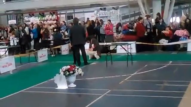 Мелодия Весны Бланш смотреть онлайн
