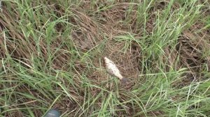 КРУПНЯК на удочку! Всей компашкой НА РЫБАЛКУ!