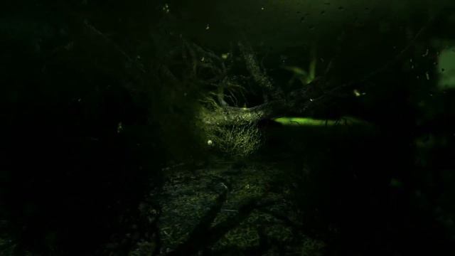 "Баги, приколы, фейлы" в Metro 2033 смотреть онлайн