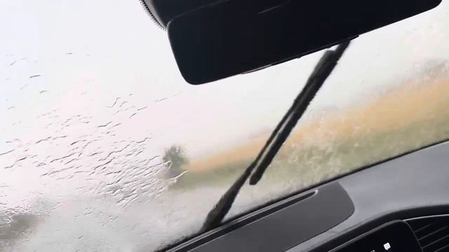 09.06.2024. После 3 месяцев без осадков перед уборкой началось …. смотреть онлайн