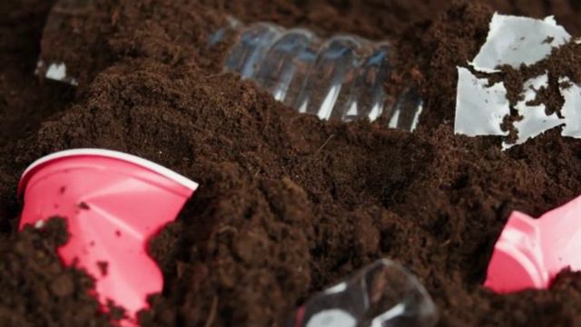 Why Do Earthworms Come Out After The Rain?