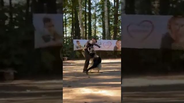 Clip by @ogarevkinolog смотреть онлайн