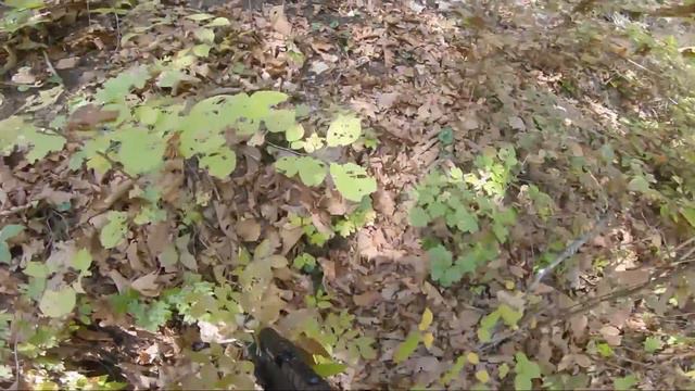 ВОЮЕМ В ГОРАХ. СТРАЙКБОЛ // AIRSOFT GAMEPLAY смотреть онлайн