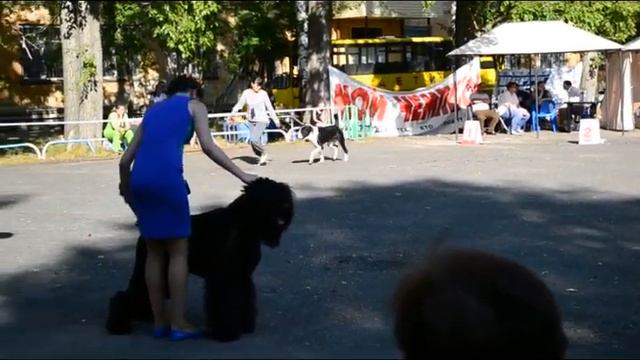 Гордость России 24.08.2013 смотреть онлайн