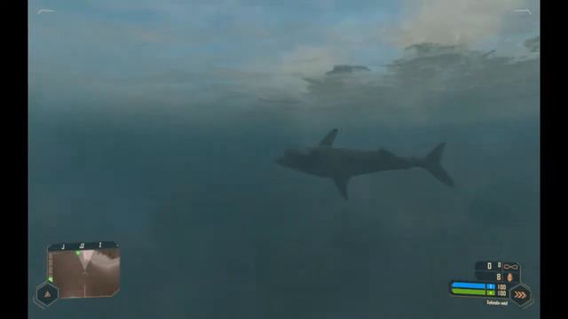 Crysis Warhead shark bug смотреть онлайн