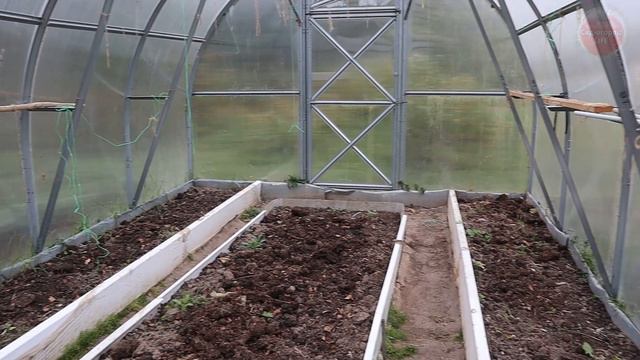 Обязательно обработайте этим теплицу осенью чтобы в следующем году собрать большой и чистый урожай. смотреть онлайн