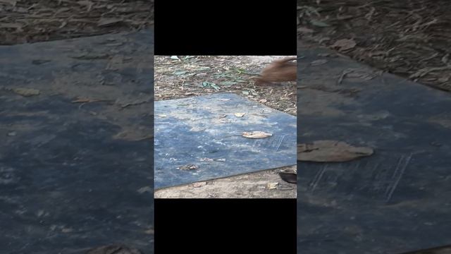 27-09-2024 смотреть онлайн