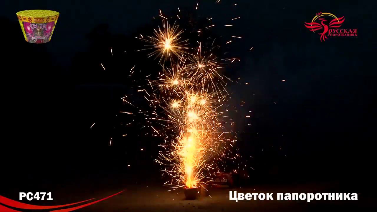 РС471 Фонтан "Цветок папоротника" смотреть онлайн