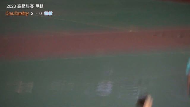 ★高甲 P2325 Cos Destiny VS 極緻 смотреть онлайн