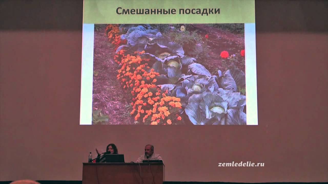Умный сад, хитрый огород смотреть онлайн