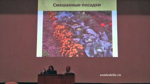 Умный сад, хитрый огород