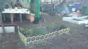 ШАШЛЫК НА ОГОРОДЕ ИЗ ФЕРМЕРСКОГО МЯСА! Обмыли беседку! ПОСЕДИМ