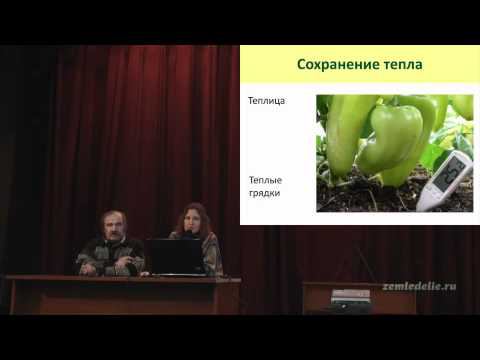Выращивание перцев смотреть онлайн
