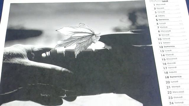 Dedicato a Domenico Carrara. Calendario 2023 Canale 58 смотреть онлайн