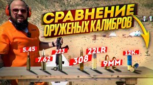 Сравнение оружейных калибров. 9мм, 22LR, 5.45, 7.62, 223, 308, 12к.