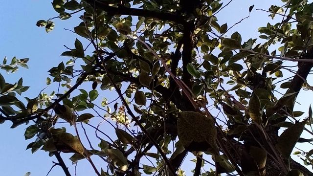 20240927_081825.mp4 смотреть онлайн