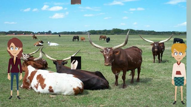Interesting Video Book For Kids About Texas смотреть онлайн