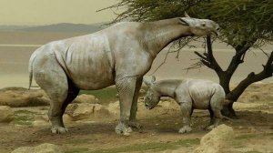 Индрикотерии - самые большие сухопутные млекопитающие