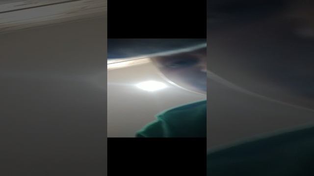 спокиноки смотреть онлайн