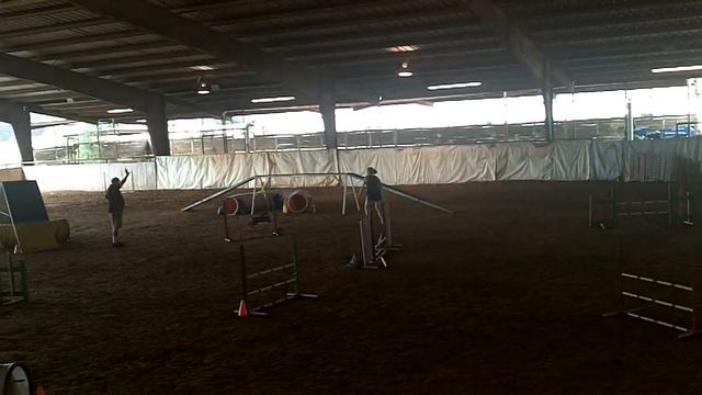 Daisy & Foto-Mstr Pairs Q 09-25-11.avi смотреть онлайн