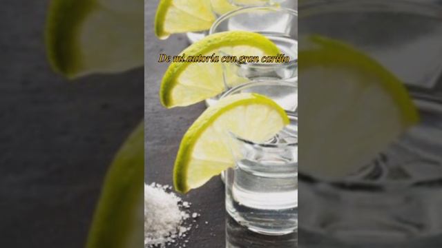 Tres Tragos - Compa Sergio смотреть онлайн