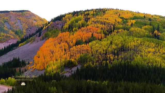 LA REVELATION DU SILENCE - Stephen Sicard смотреть онлайн