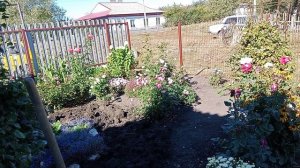 Жизнь в деревне.