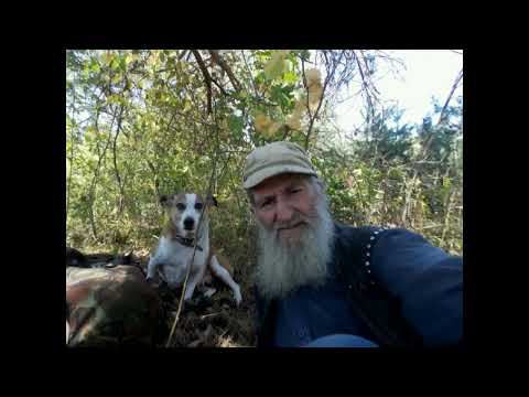 Вялая прогулка по дебрючкам смотреть онлайн