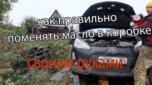Как правильно поменять масло в коробке тойота аква филдер