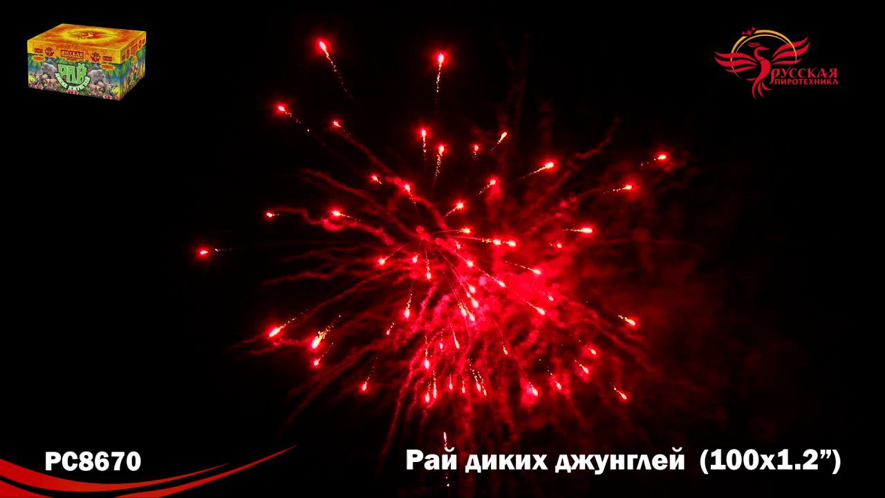 РС8670 Салют "Рай дикий джунглей" (1,2"х100) МОДУЛЬ 1/2/1 смотреть онлайн