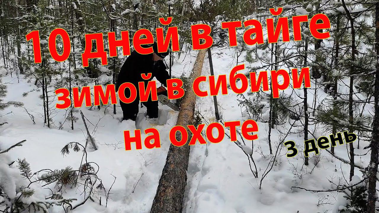 10 дней в тайге зимой на охоте в Сибири 3 день смотреть онлайн